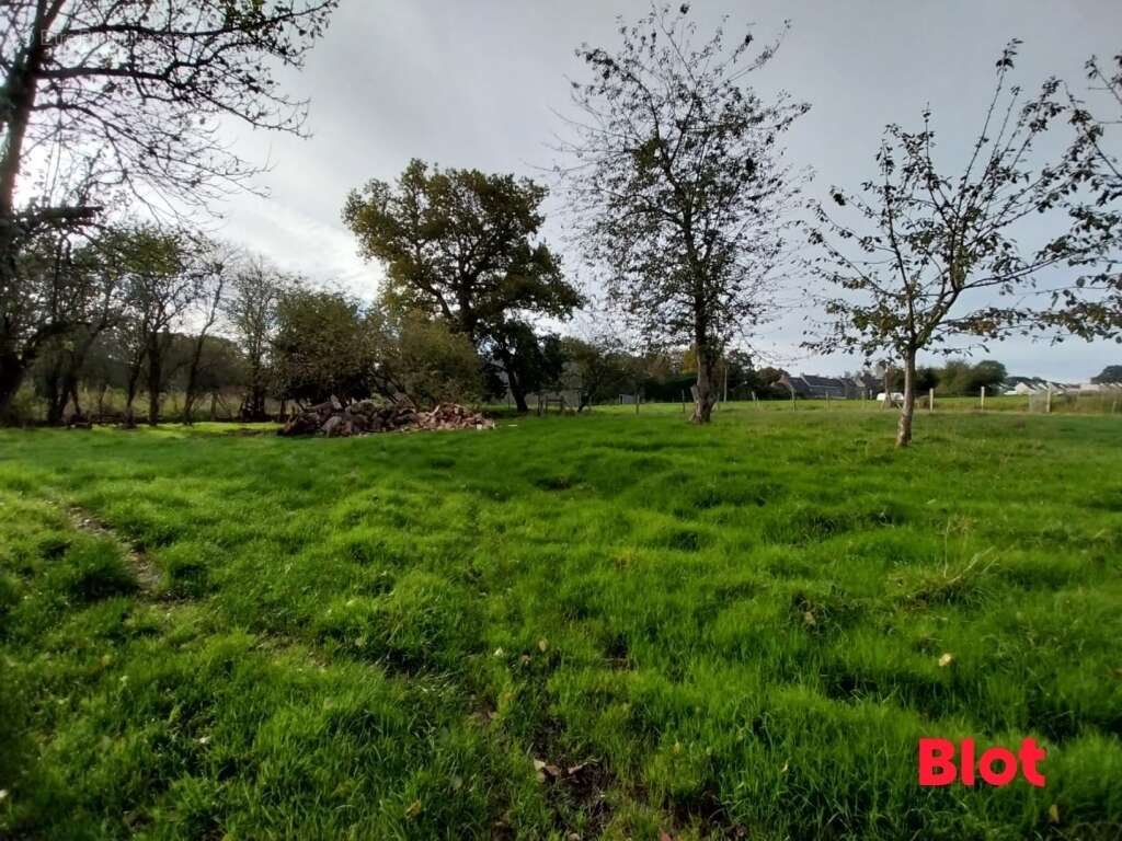 Maison à SAINT-HELEN