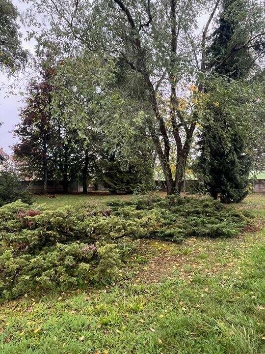 Terrain à LUXEUIL-LES-BAINS