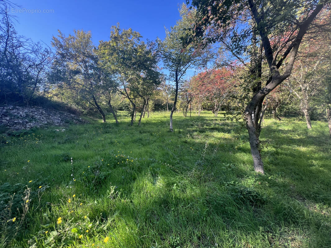 Terrain à SALAZAC