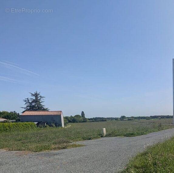 Terrain à SAINT-ROMAIN-DE-BENET