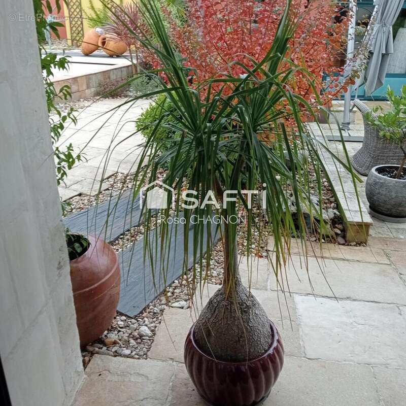 Photo 3 - Maison à FONTENAY-LE-COMTE