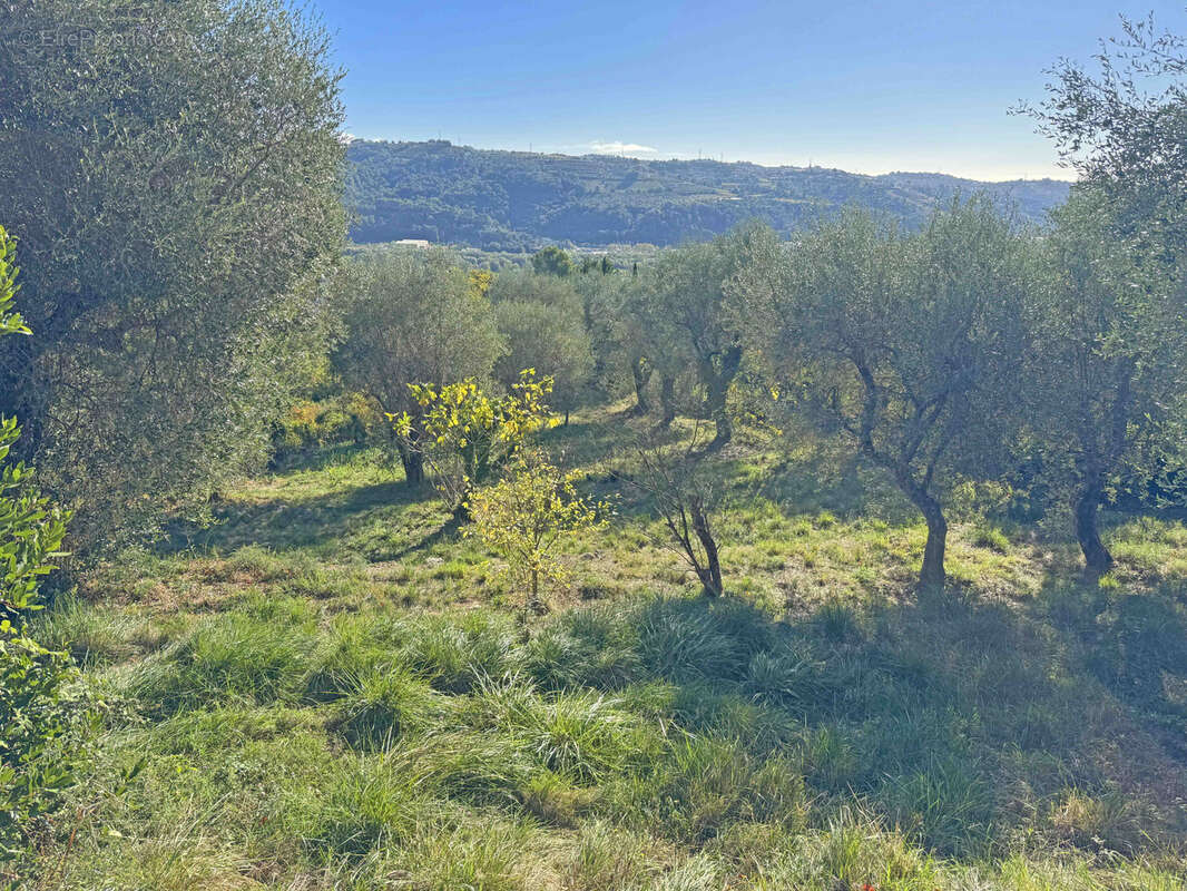 EXCLUSIVITE St JEANNET - Villa de 160 m2 avec piscine et vue dégagée - photo 18