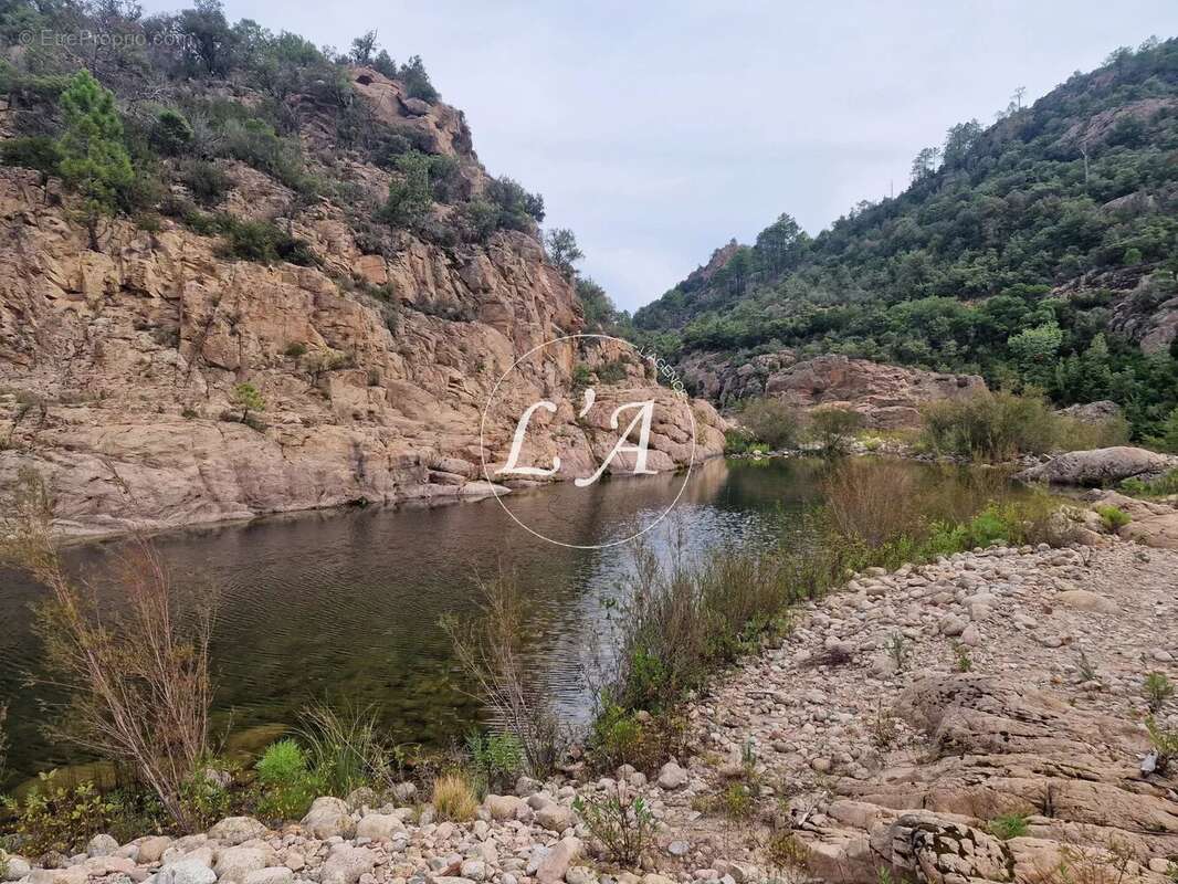 Maison à SARI-SOLENZARA