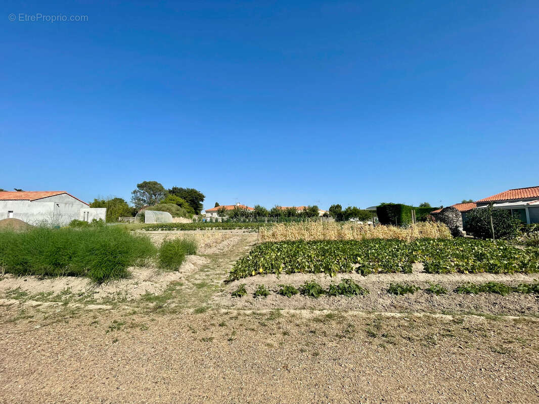 Terrain à LES SABLES-D'OLONNE