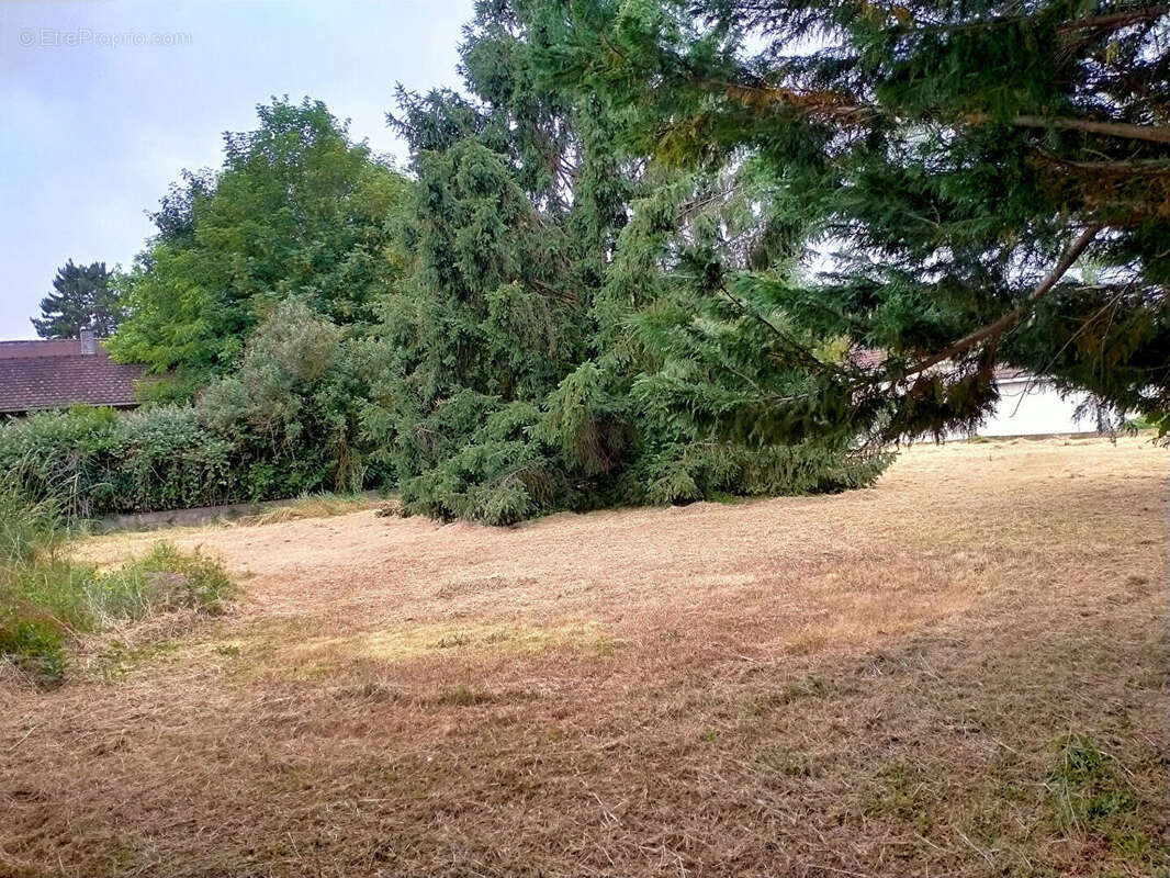 Ancienne ferme - photo 6