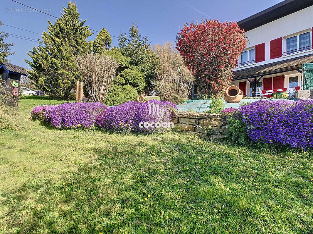 Maison à AMBERIEU-EN-BUGEY