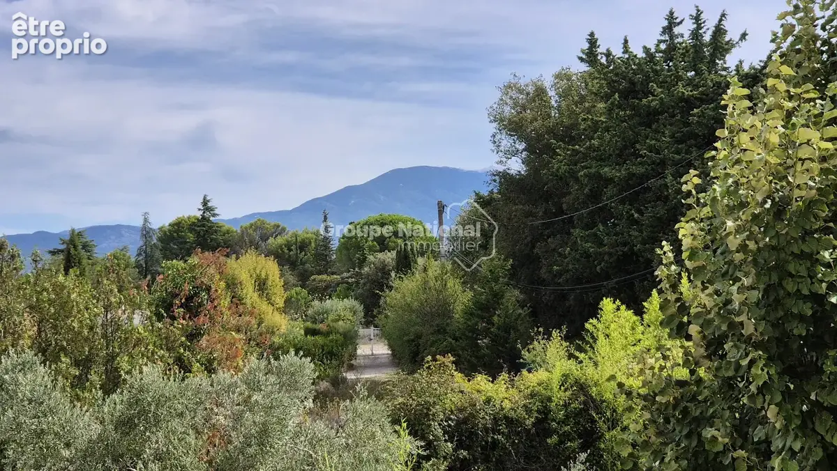 Aubignan - maison sur 2703 m² de terrain - photo 20