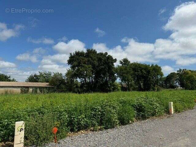 Terrain à SAINT-MEDARD-D&#039;AUNIS