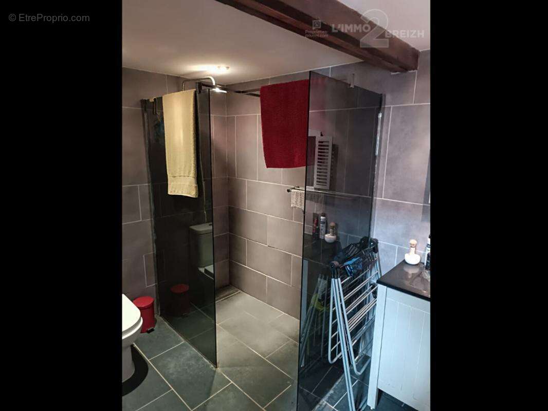 Maison avec seconde habitation cottage 6 pièces  140 m² Langoëlan - photo 18