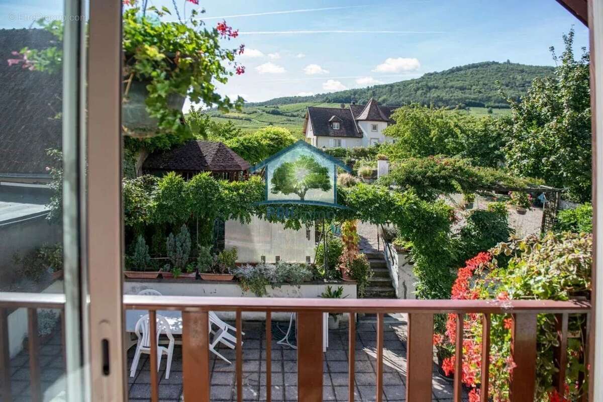 AMMERSCHWIHR (68) - Gîte & Chambres d'Hôtes Clé en Main - photo 9