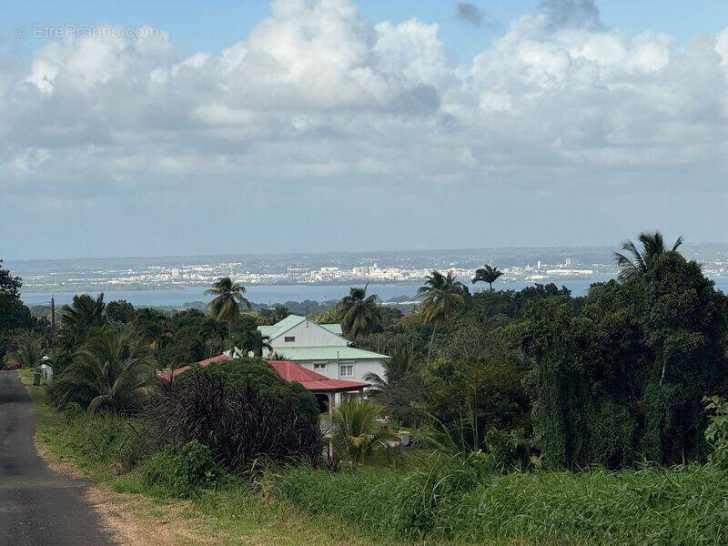 Terrain à PETIT-BOURG