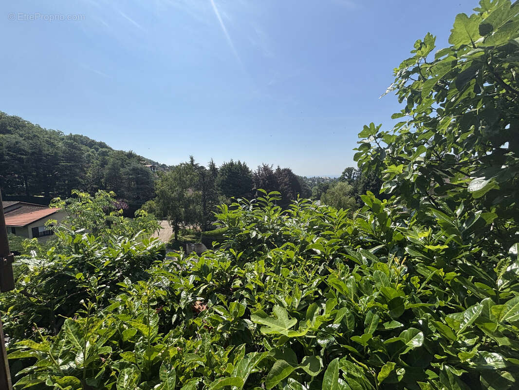 Maison à SAINT-CYR-AU-MONT-D'OR