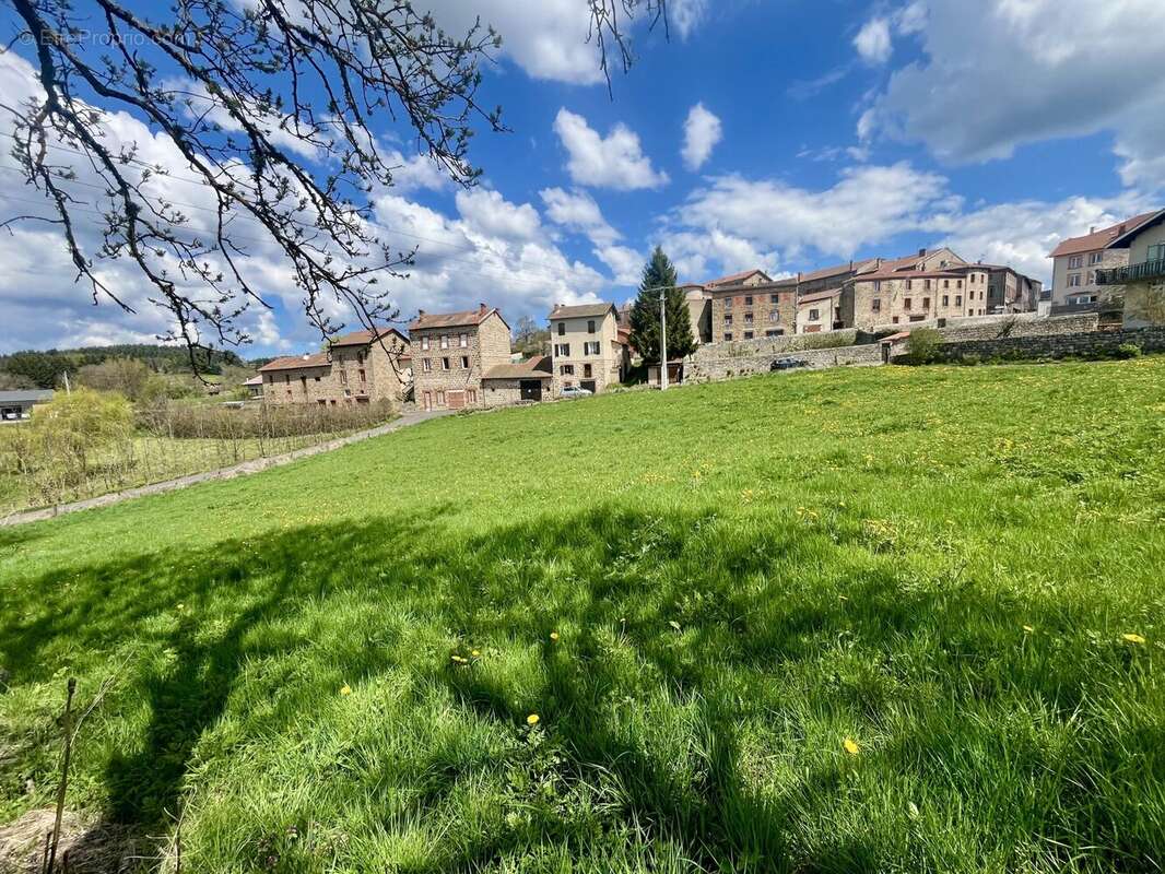 Terrain à USSON-EN-FOREZ