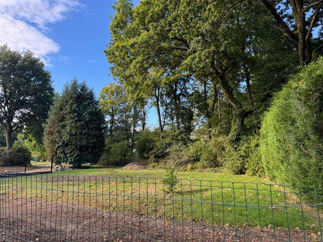 Terrain à SAINTE-ANNE-D&#039;AURAY