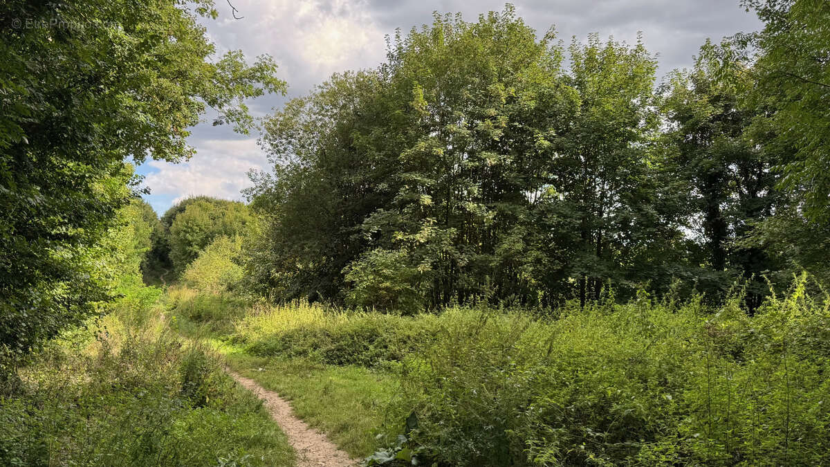 Maison à SAINT-NOM-LA-BRETECHE