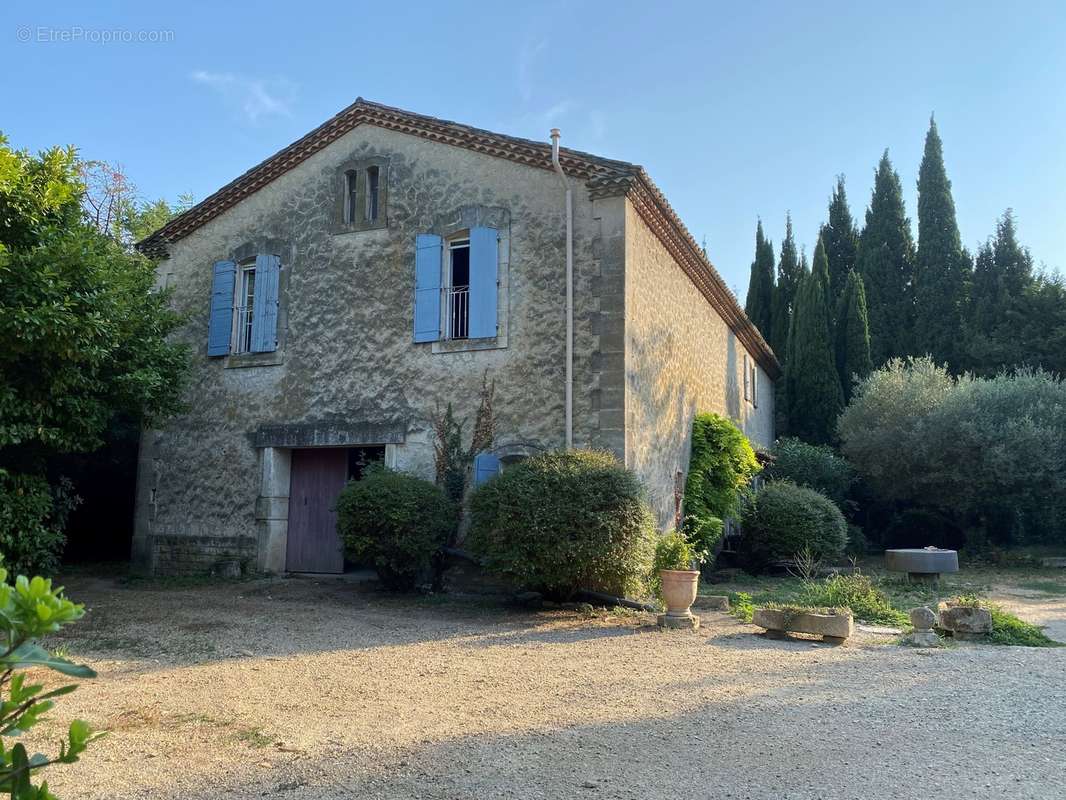 Mas Sur Beaucaire  - photo 2