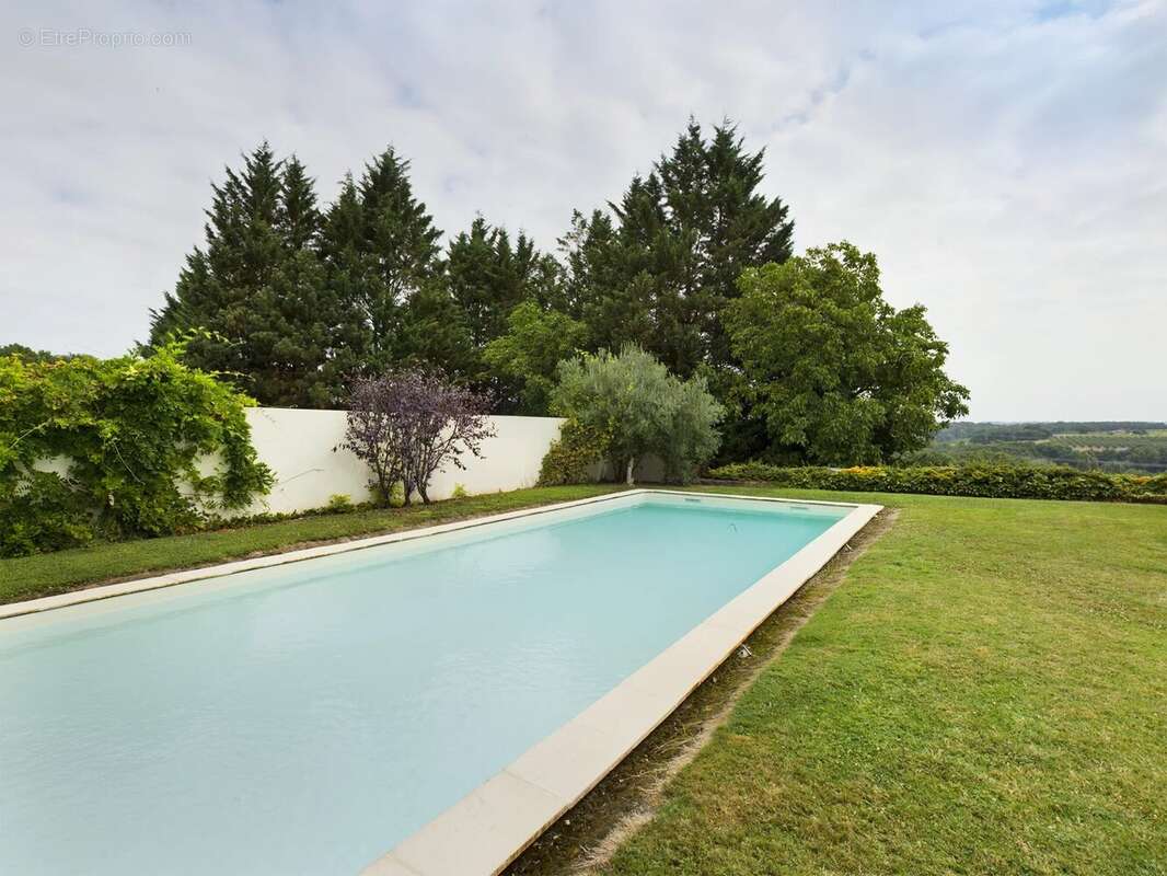 Domaine avec vignoble en activité, maison familiale, gîte, piscine et court de tennis - photo 2