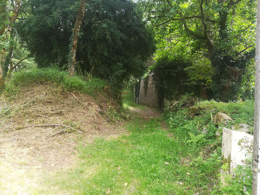 Terrain à QUISTINIC