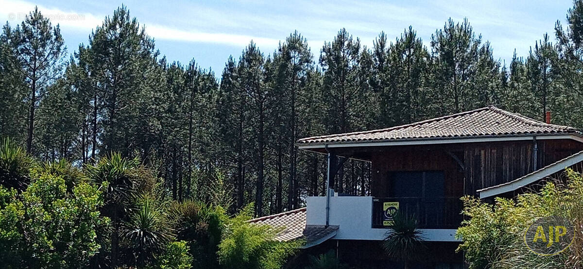 Appartement à LEGE-CAP-FERRET