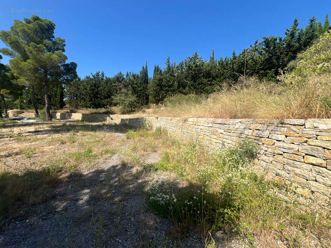 Terrain Narbonne 2847 m2 - photo 2
