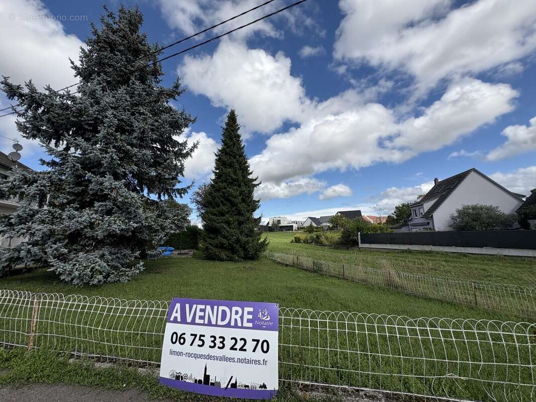 Terrain à WIWERSHEIM