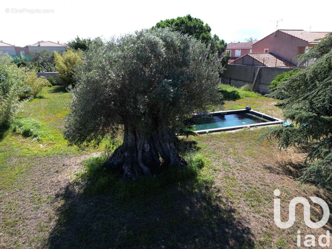 Photo 3 - Maison à PIA