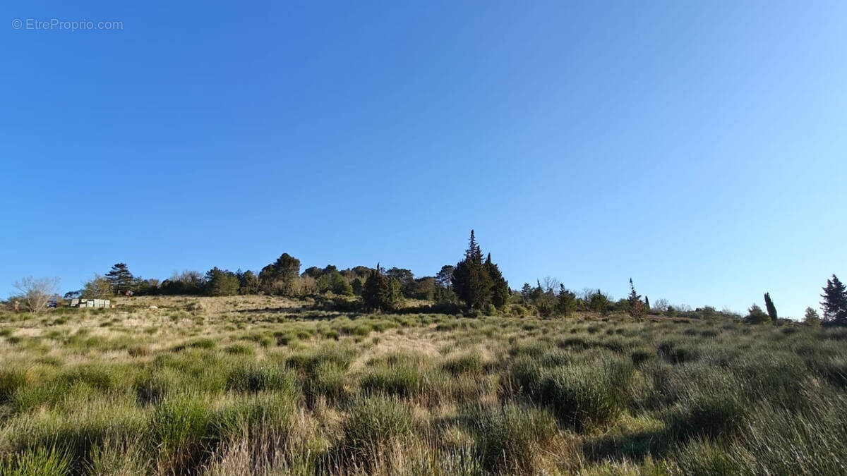 Terrain à LIMOUX