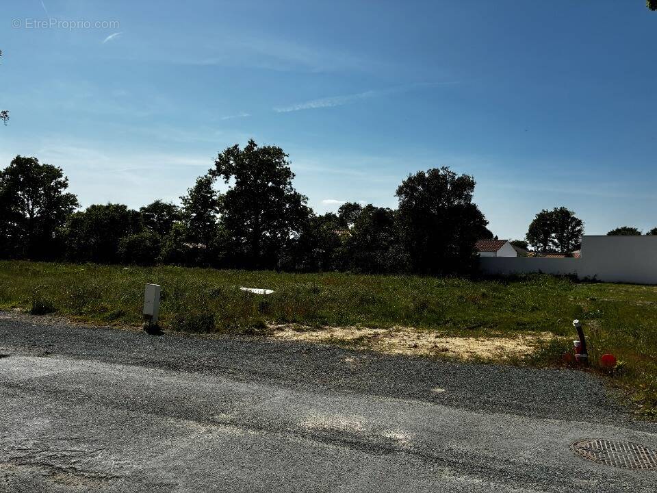 Terrain à LA BARRE-DE-MONTS