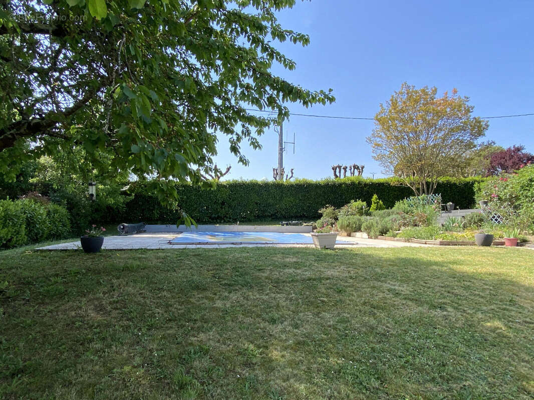 jardin et piscine - Maison à SAINT-ROMAIN