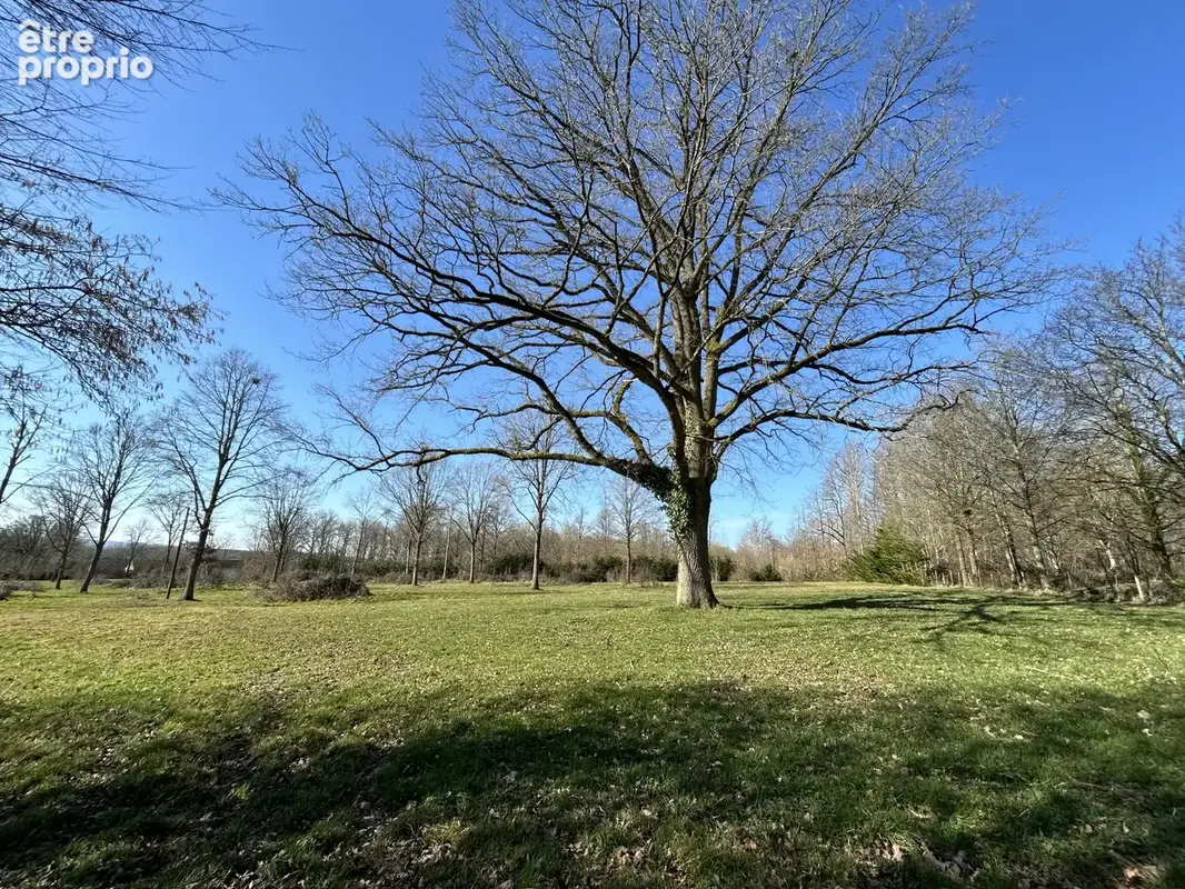 Maison 207 m² à Le Mele-Sur-Sarthe  - photo 12