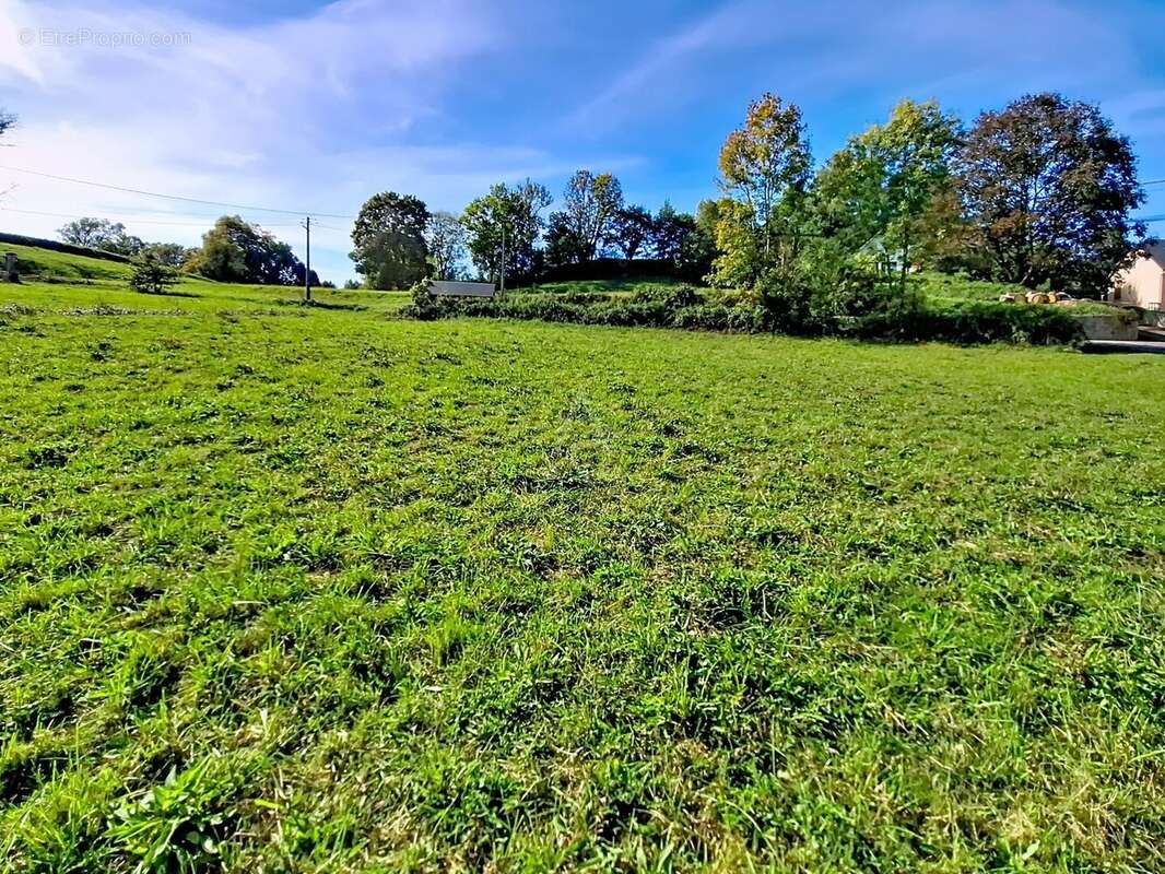 Terrain à POUEYFERRE