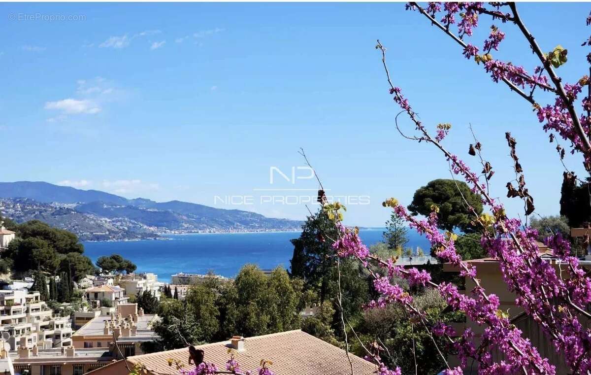 Roquebrune Cap Martin, Villa rénovée avec piscine et vue mer, dans cadre privilégié - photo 4
