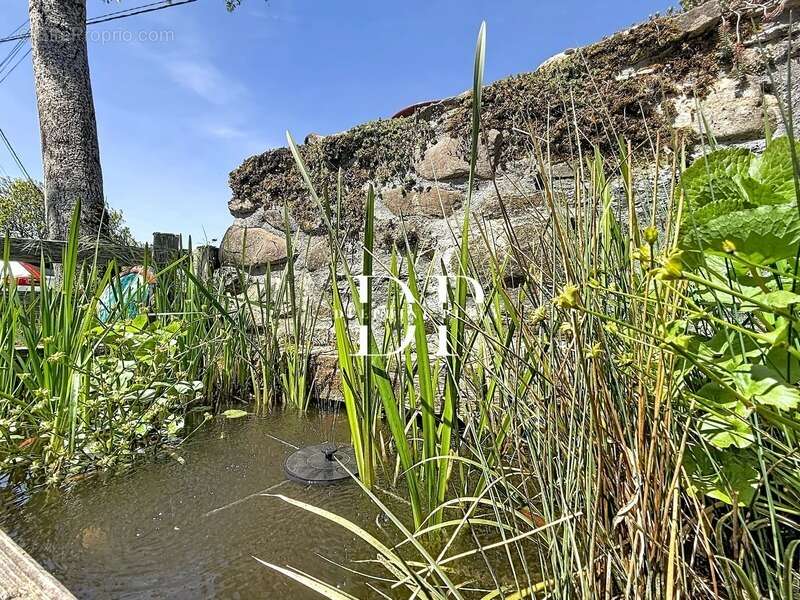 Lucinges, Maison à vendre 4 pièces de 134 m2 (74) Terrain d'env. 450 m2 - photo 30