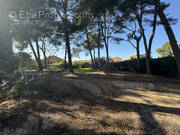 Terrain à SIX-FOURS-LES-PLAGES