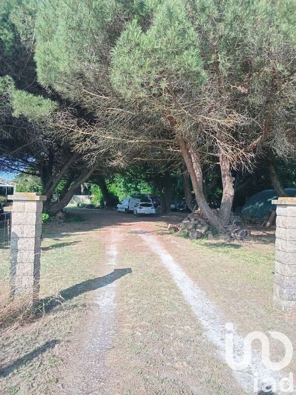 Photo 9 - Maison à SAINT-PIERRE-D&#039;OLERON