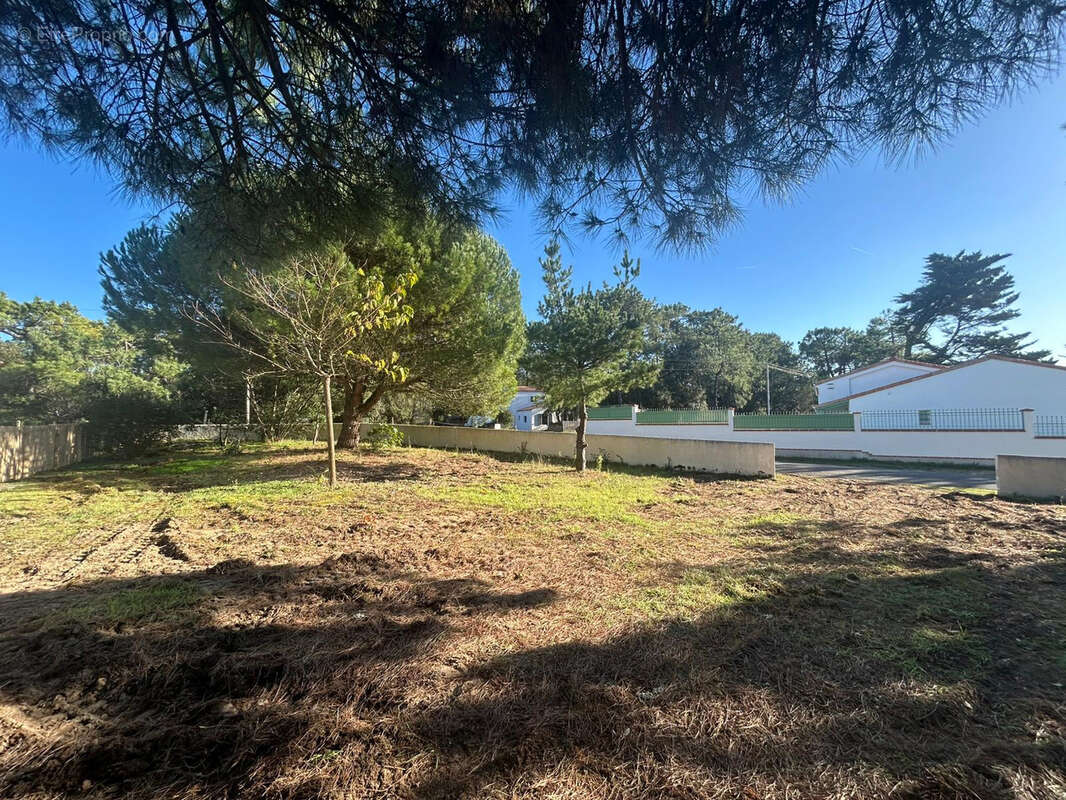 Terrain à SAINT-HILAIRE-DE-RIEZ