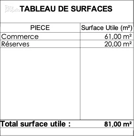 Commerce 82 m² à Saint-Medard-En-Jalles  - photo 6