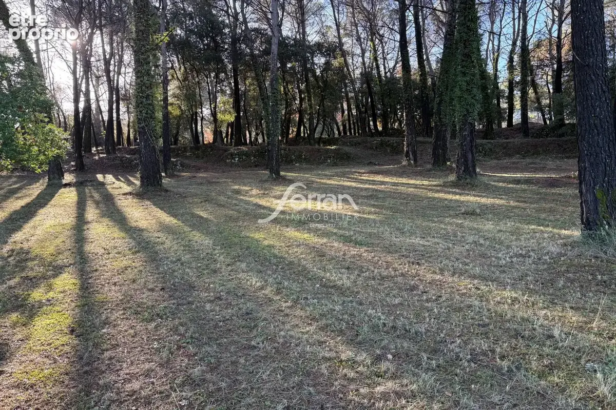 Terrain 7 100 m² à vendre à Callas (83830) - photo 3