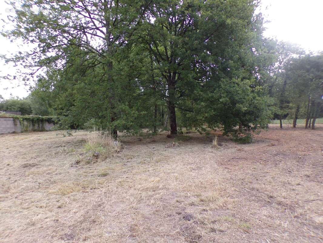Vente Terrain Theillay(41300) 90 000ï¿œ - photo 8