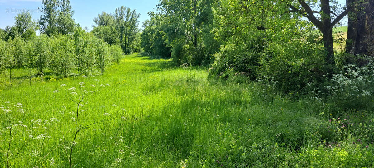 Terrain à PUYLAROQUE