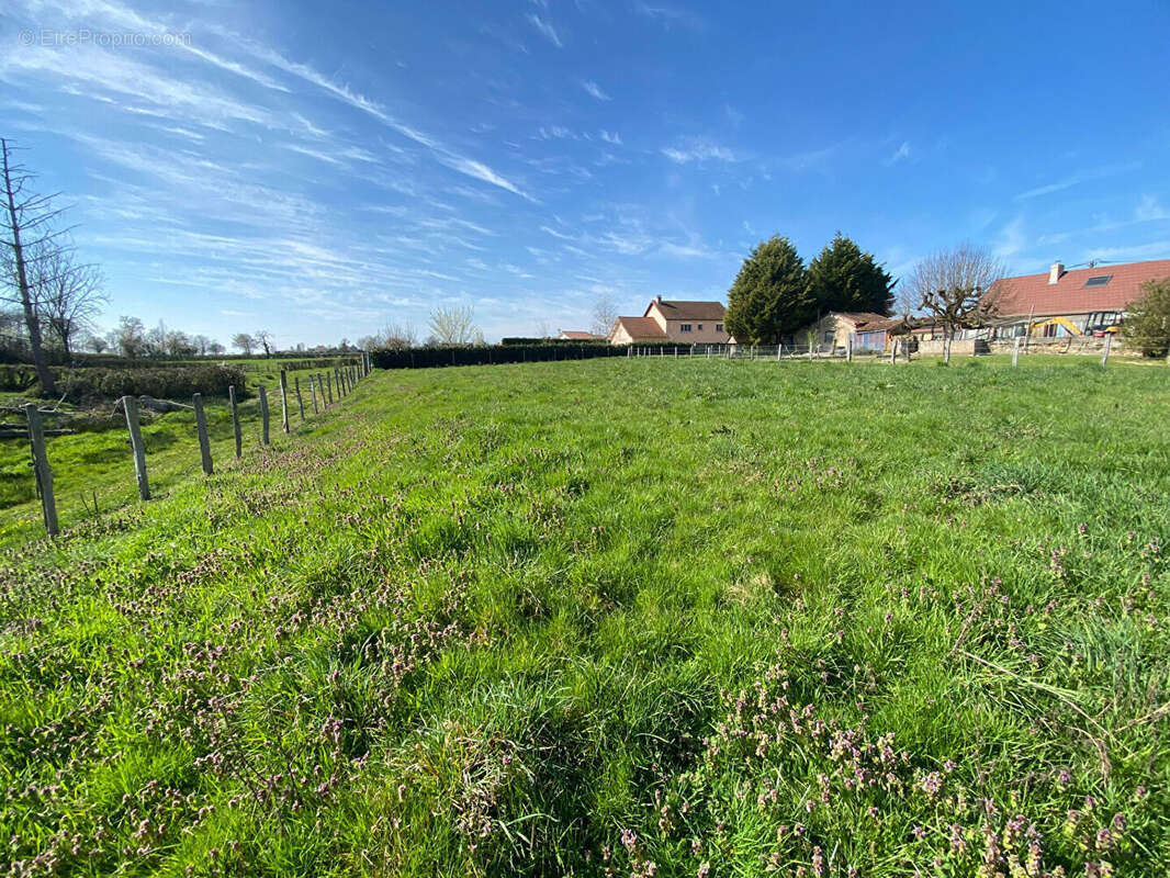 Terrain à SAINT-LEGER-LES-PARAY