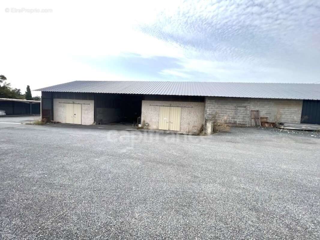 Dpt Charente Maritime (17), à vendre proche de SAINTES Entrepots parkings et Bureaux - photo 5