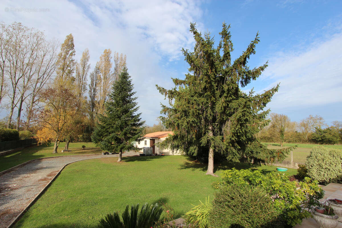 Maison à SAINT-MARTIN-DE-BERNEGOUE