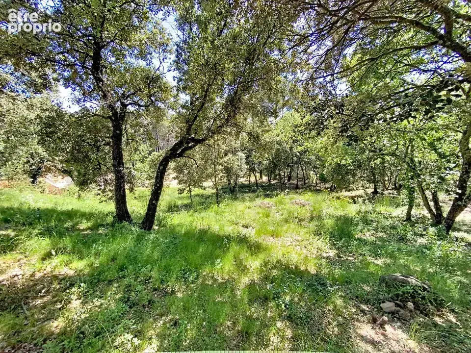 Terrain 2 000 m² à vendre à Puget (84360) - photo 5