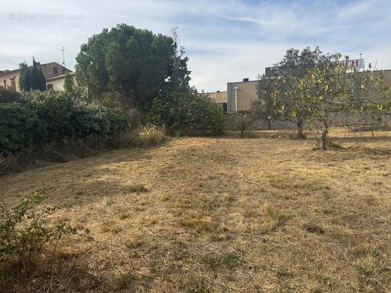 Terrain à NARBONNE
