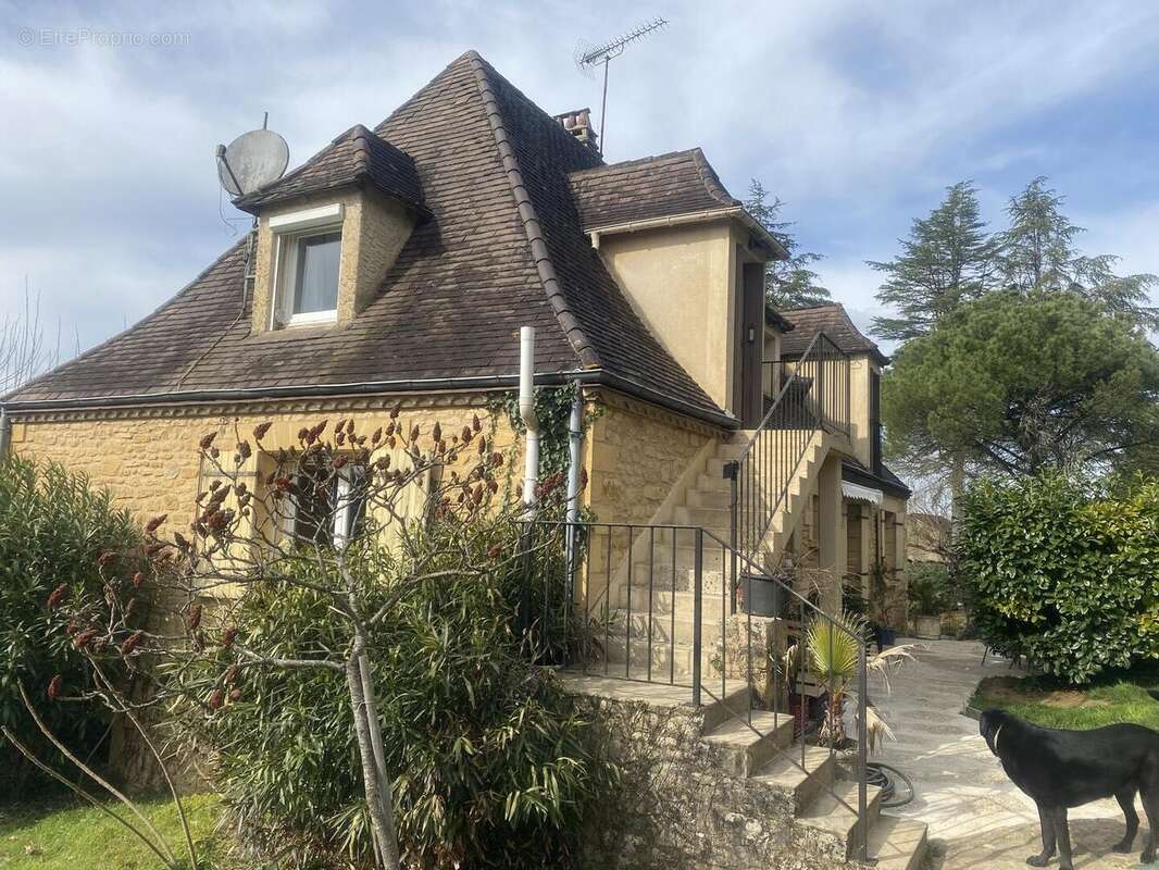 IMG6315 - Maison à ALLES-SUR-DORDOGNE