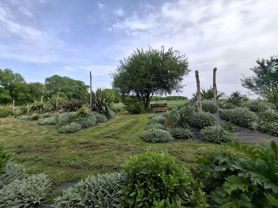 Maison à SAINT-GEORGES-DES-COTEAUX