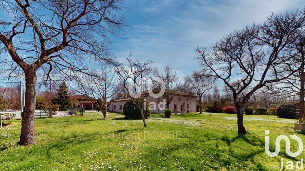 Photo 6 - Maison à SAINT-NICOLAS-DE-LA-GRAVE