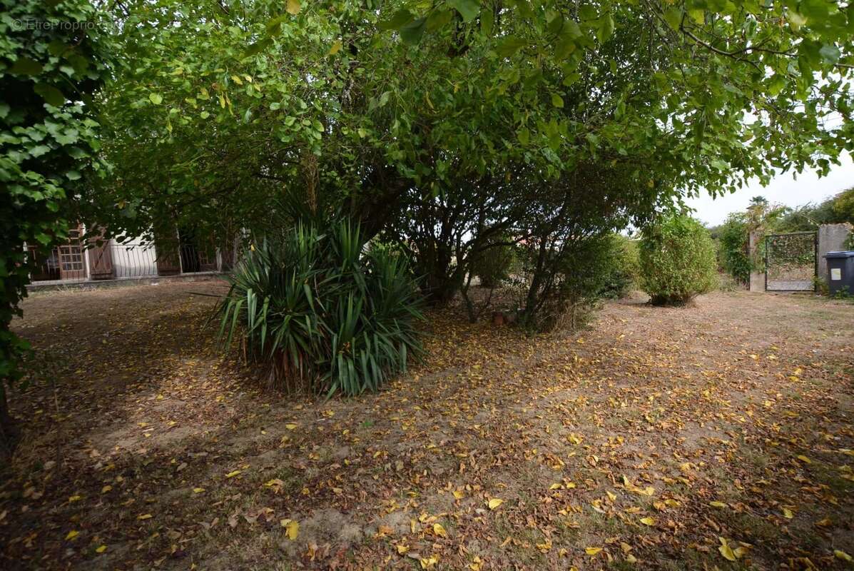 Maison à PLAISANCE-DU-TOUCH