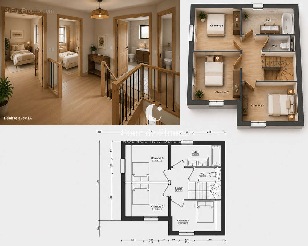Faucigny - maison 3 chambres a vendre - photo 3